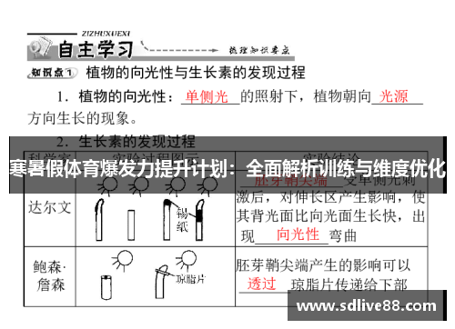 寒暑假体育爆发力提升计划：全面解析训练与维度优化