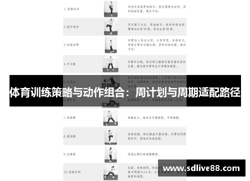 体育训练策略与动作组合：周计划与周期适配路径